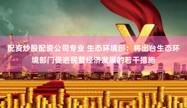 配资炒股配资公司专业 生态环境部：将出台生态环境部门促进民营经济发展的若干措施