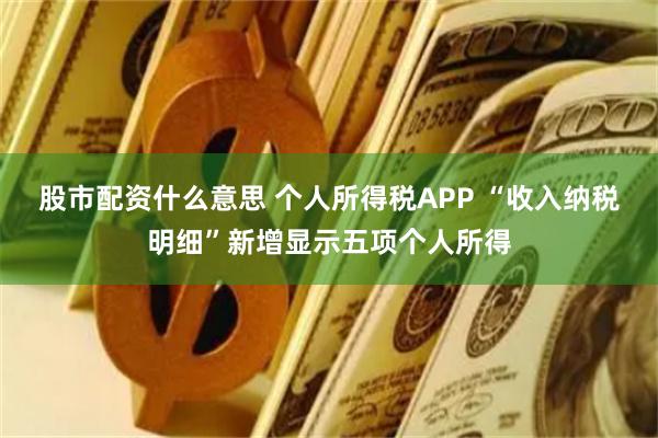 股市配资什么意思 个人所得税APP “收入纳税明细”新增显示五项个人所得