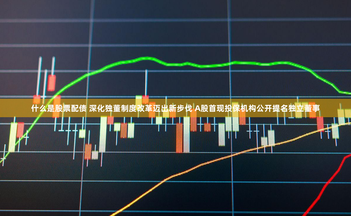 什么是股票配债 深化独董制度改革迈出新步伐 A股首现投保机构公开提名独立董事