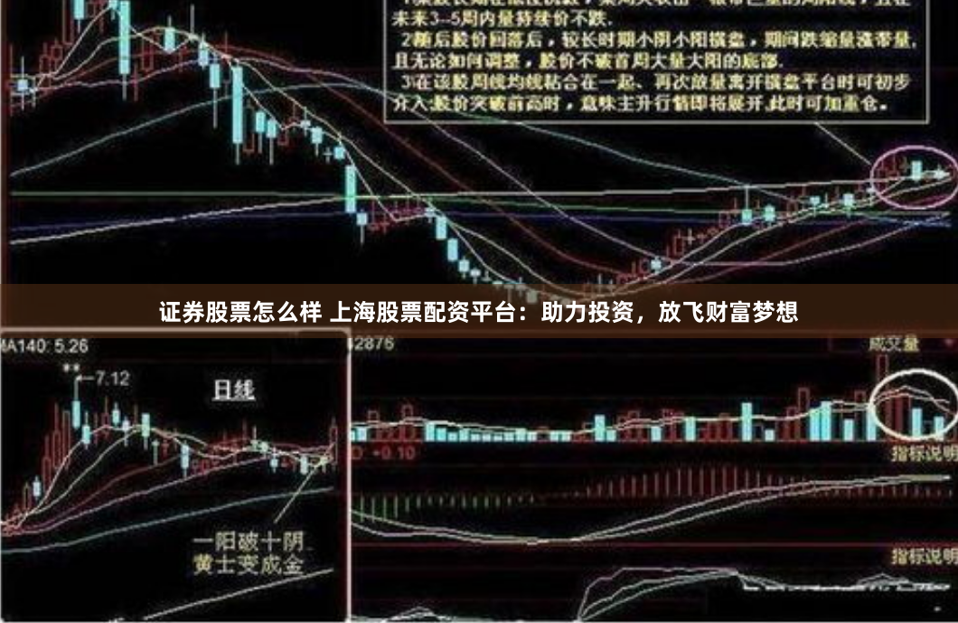 证券股票怎么样 上海股票配资平台：助力投资，放飞财富梦想