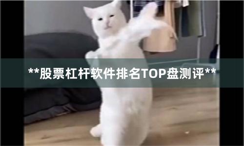 **股票杠杆软件排名TOP盘测评**